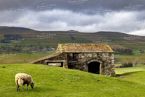 To buy a print or any of the below please click on the images